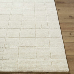 Tuuka Silver Beige Area Rug - Clearance