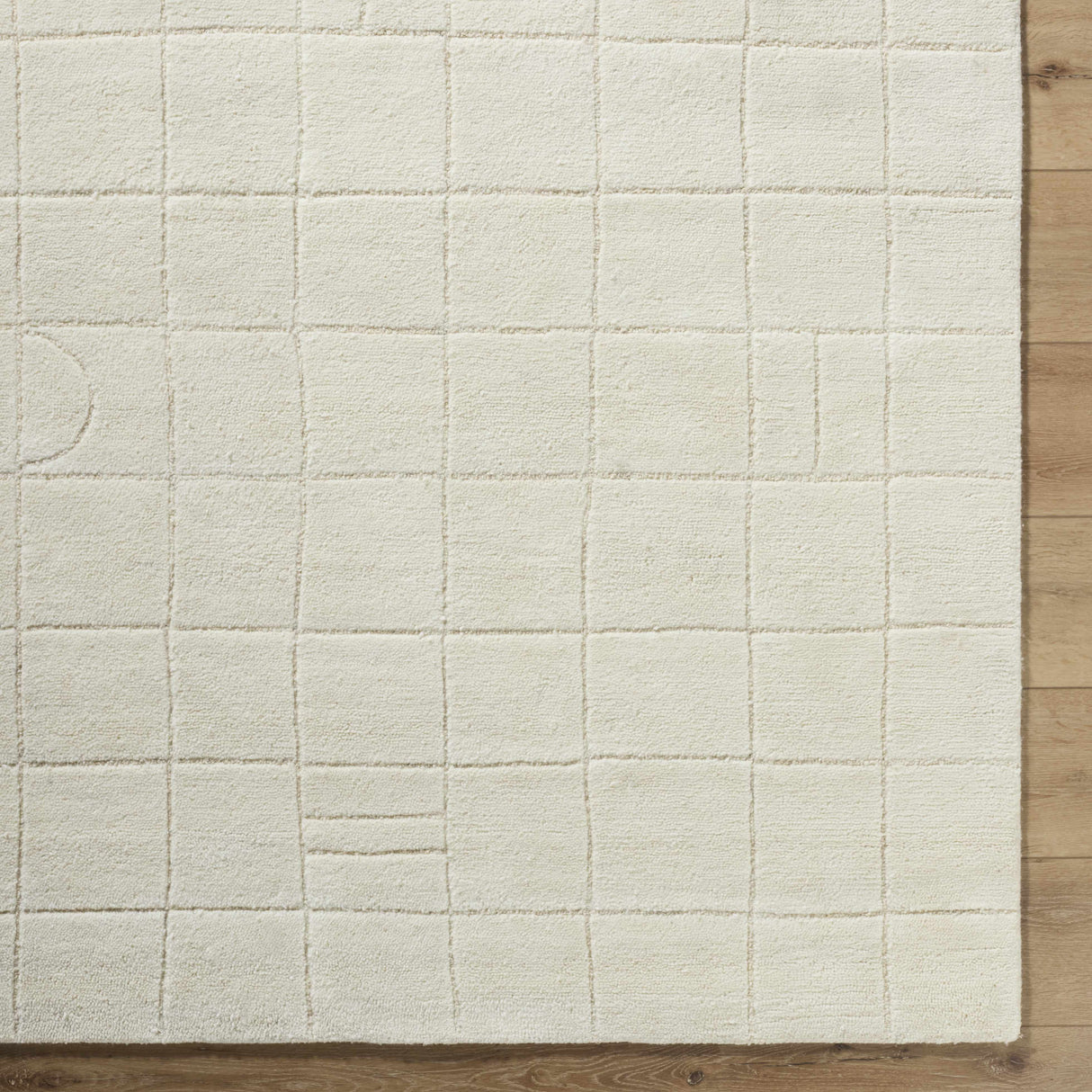 Tuuka Silver Beige Area Rug - Clearance