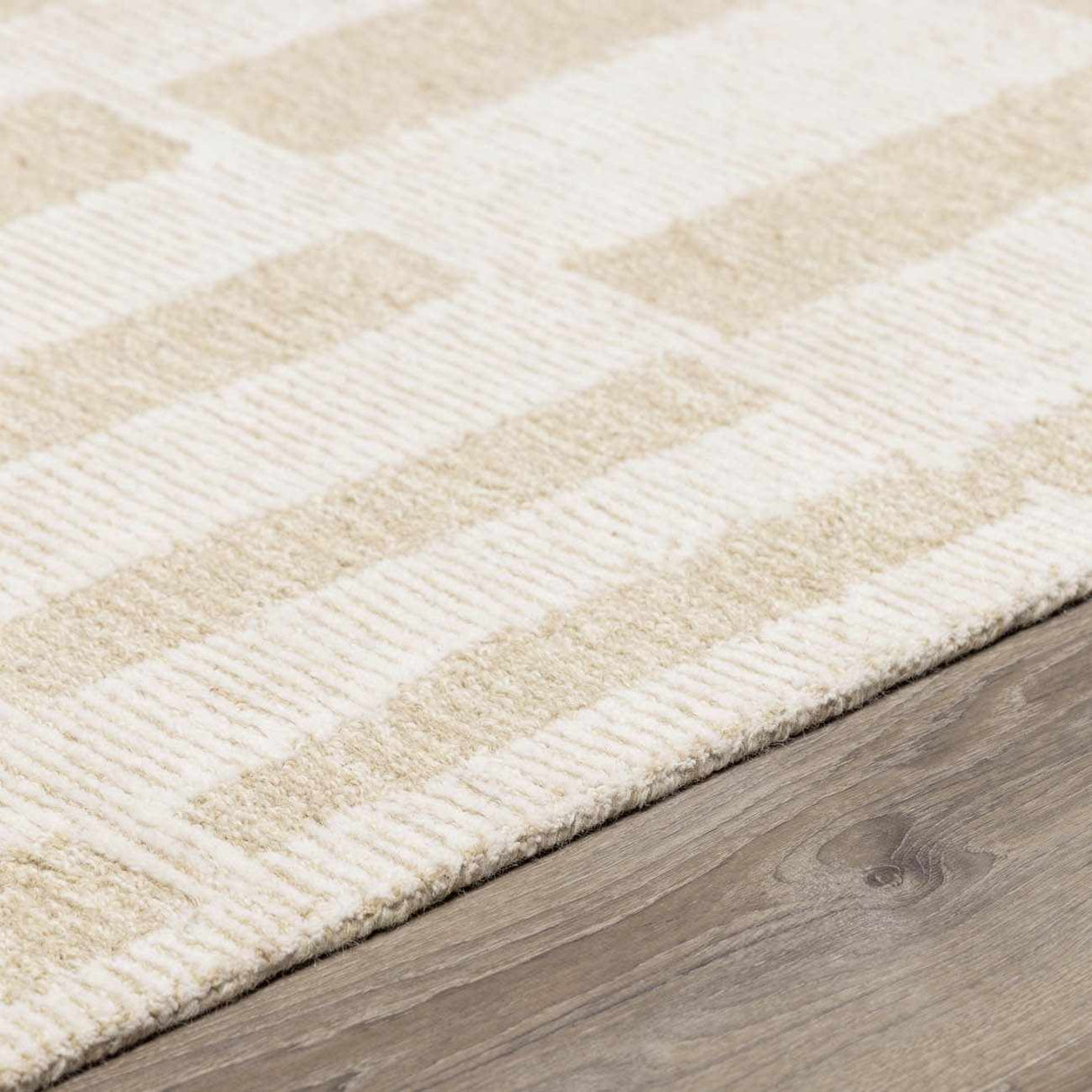 Teige Light Silver Area Rug