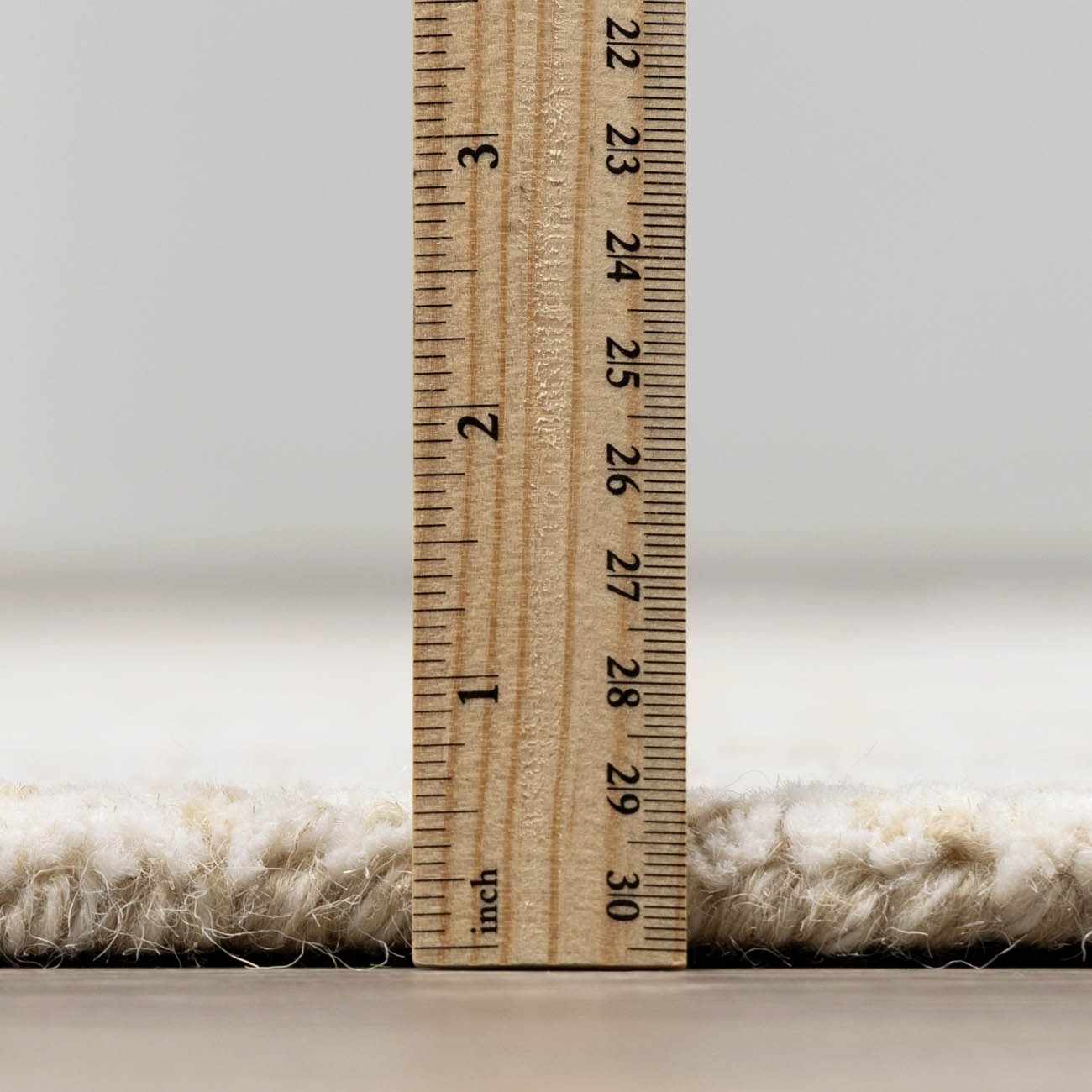 Teige Light Silver Area Rug