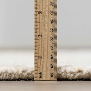 Teige Light Silver Area Rug