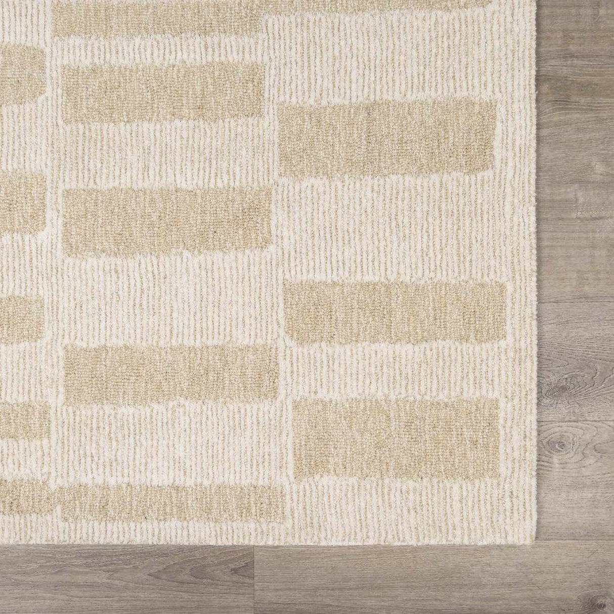 Teige Light Silver Area Rug