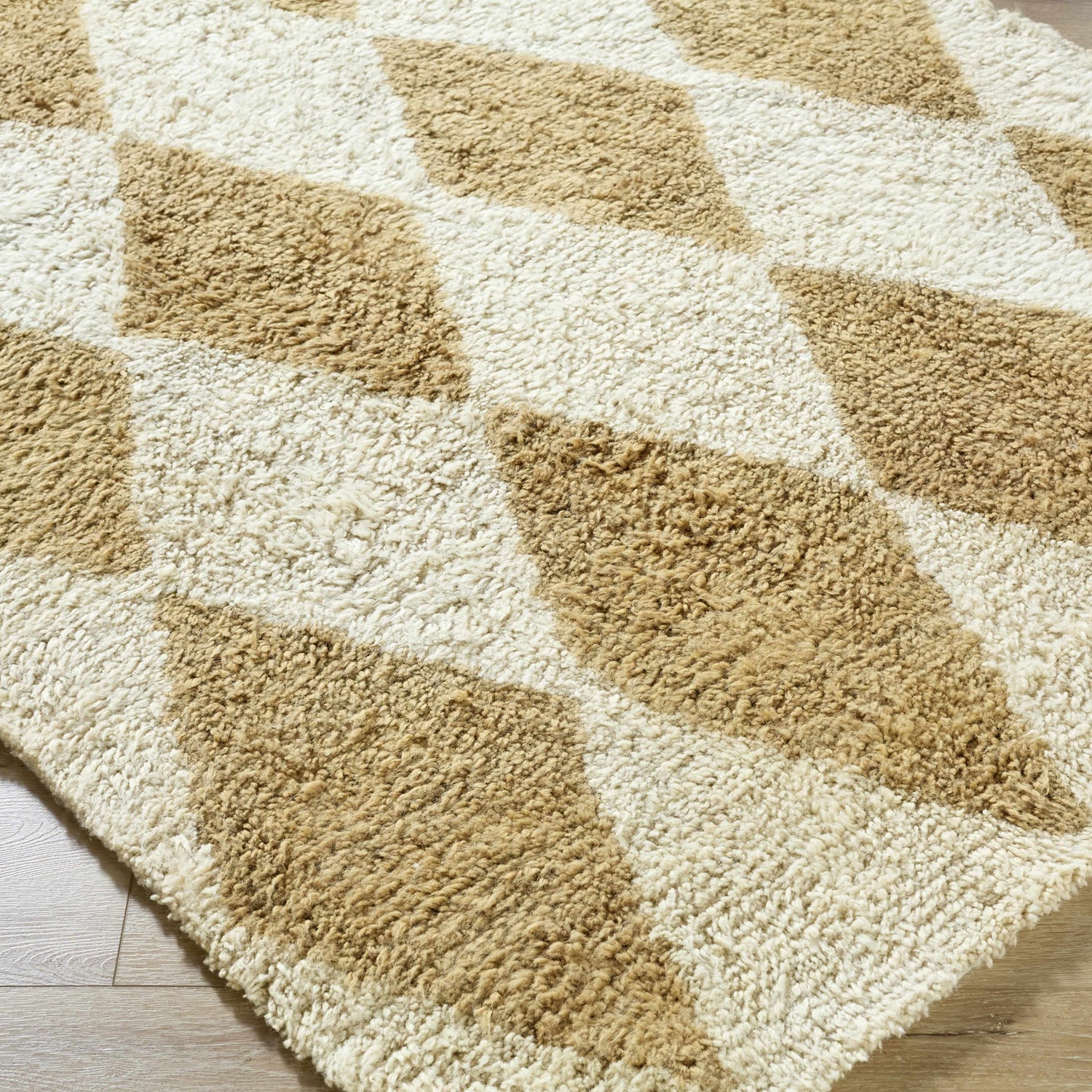 Tivka Diamond Checkered Wool Rug