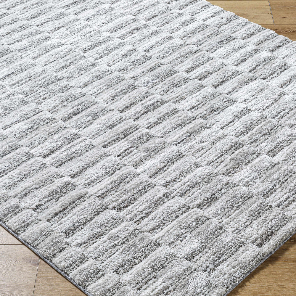 Tiimu Shag Area Rug - Clearance