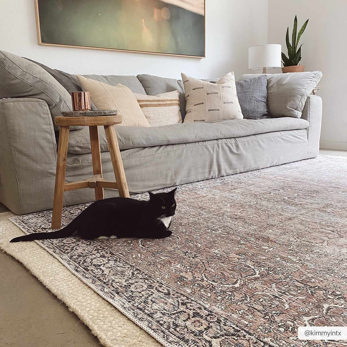 Jill Washable Area Rug - Clearance