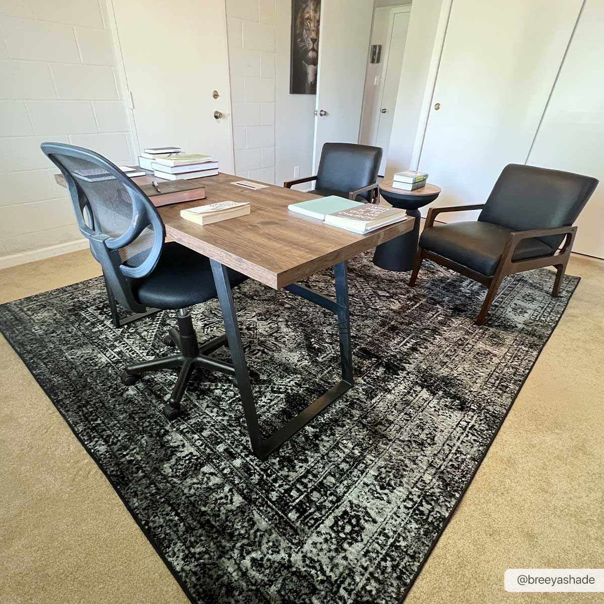 Toni Area Rug - Clearance