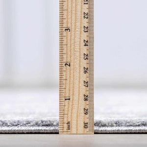 Ulubey Distressed Gray Area Rug