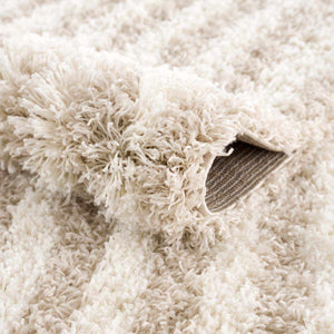 Emmly Shag Area Rug