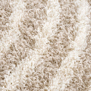 Emmly Shag Area Rug