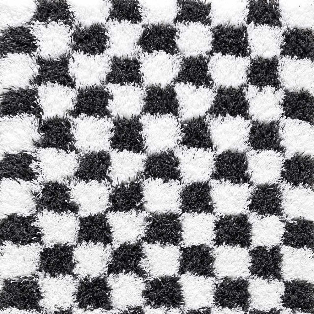 Atira Black & White Checkered Area Rug
