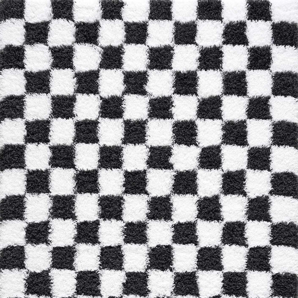 Atira Black & White Checkered Area Rug