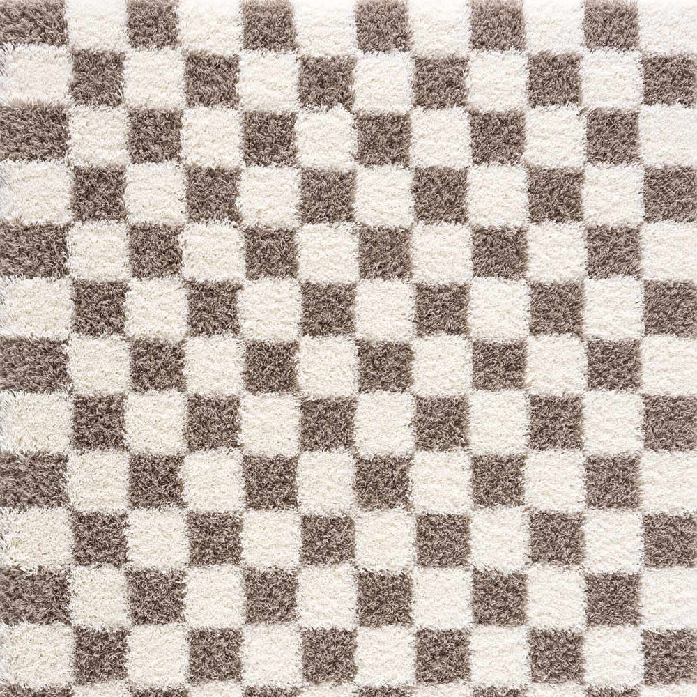 Atira Brown Checkered Area Rug