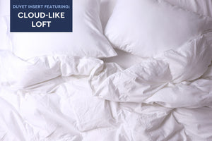 Cloud Fill Bundle w/ Cotton Sateen