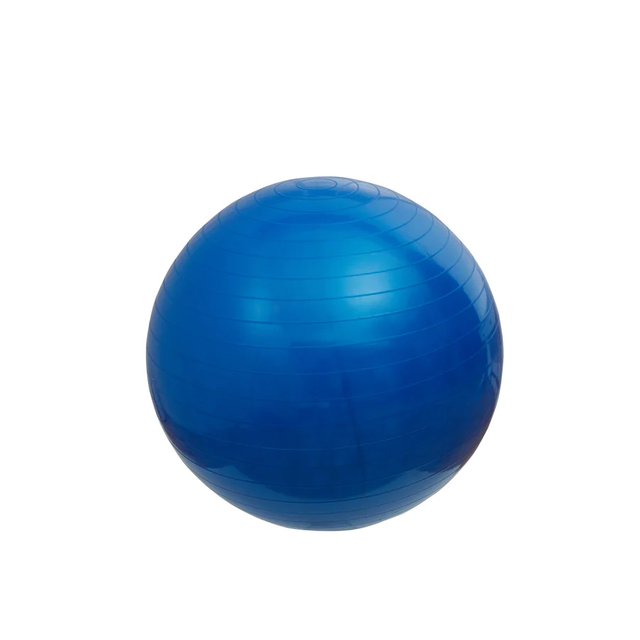 65 Inch Posture Fuzzy Exercise Yoga Ball Chair Set