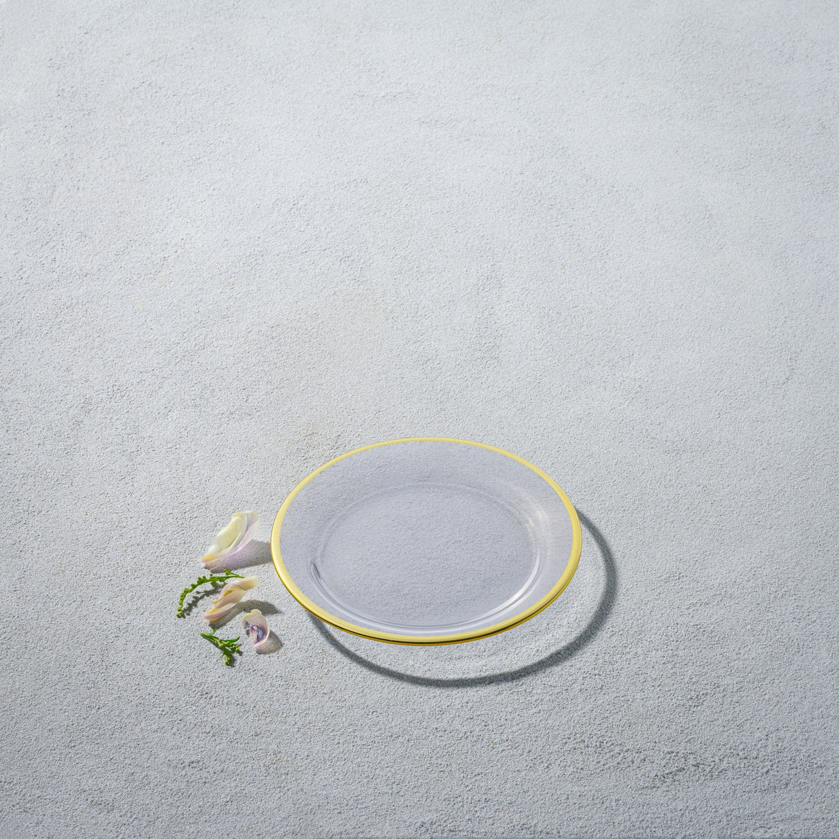 Laurel, Glass Plate with Colored Rim-Set of 4