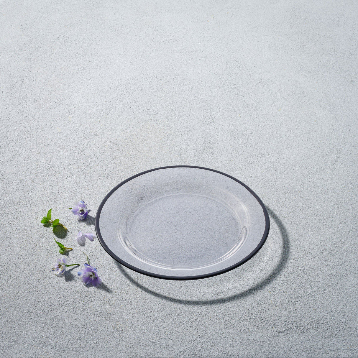Laurel, Glass Plate with Colored Rim-Set of 4