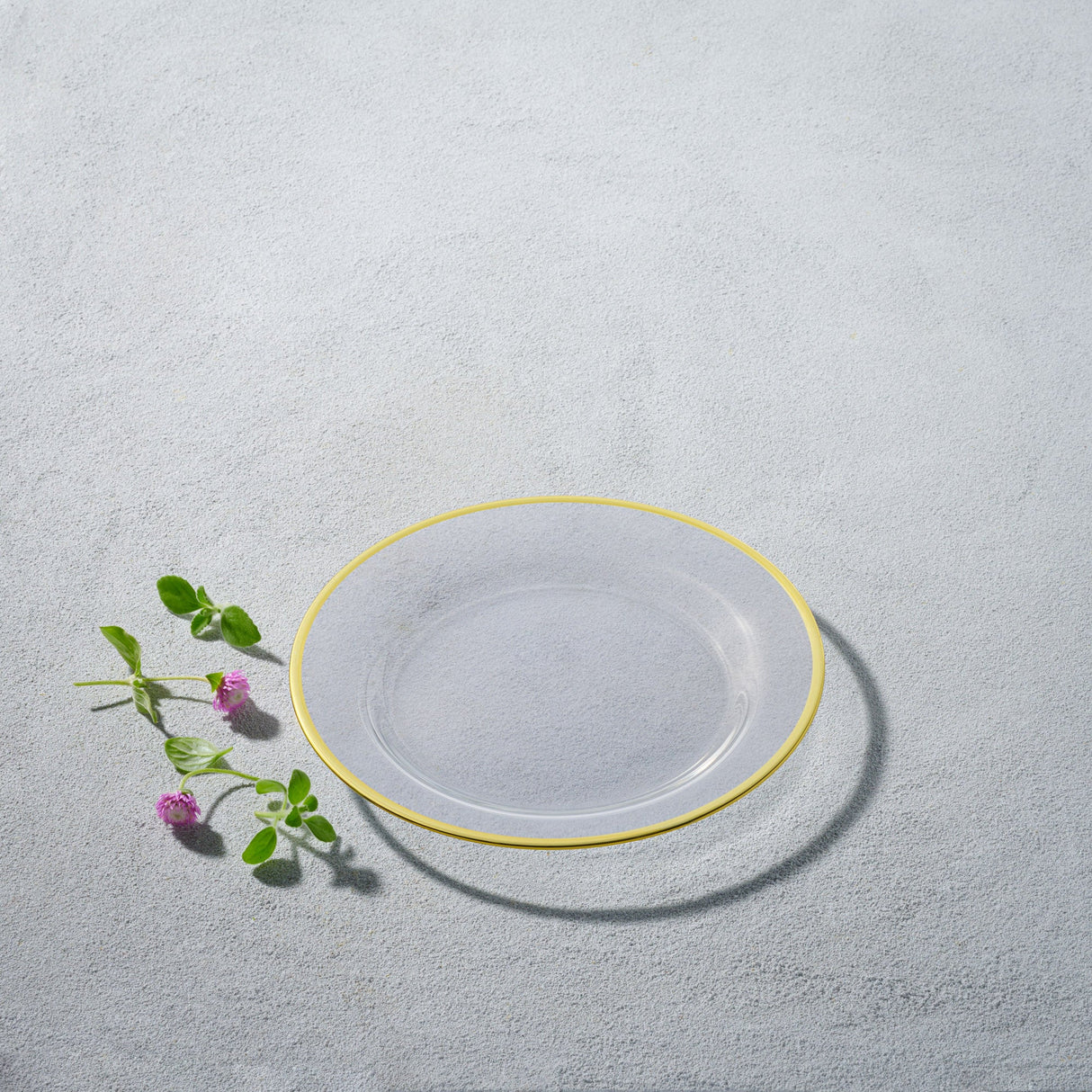 Laurel, Glass Plate with Colored Rim-Set of 4