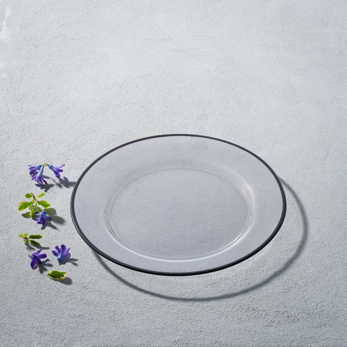 Laurel, Glass Plate with Colored Rim-Set of 4