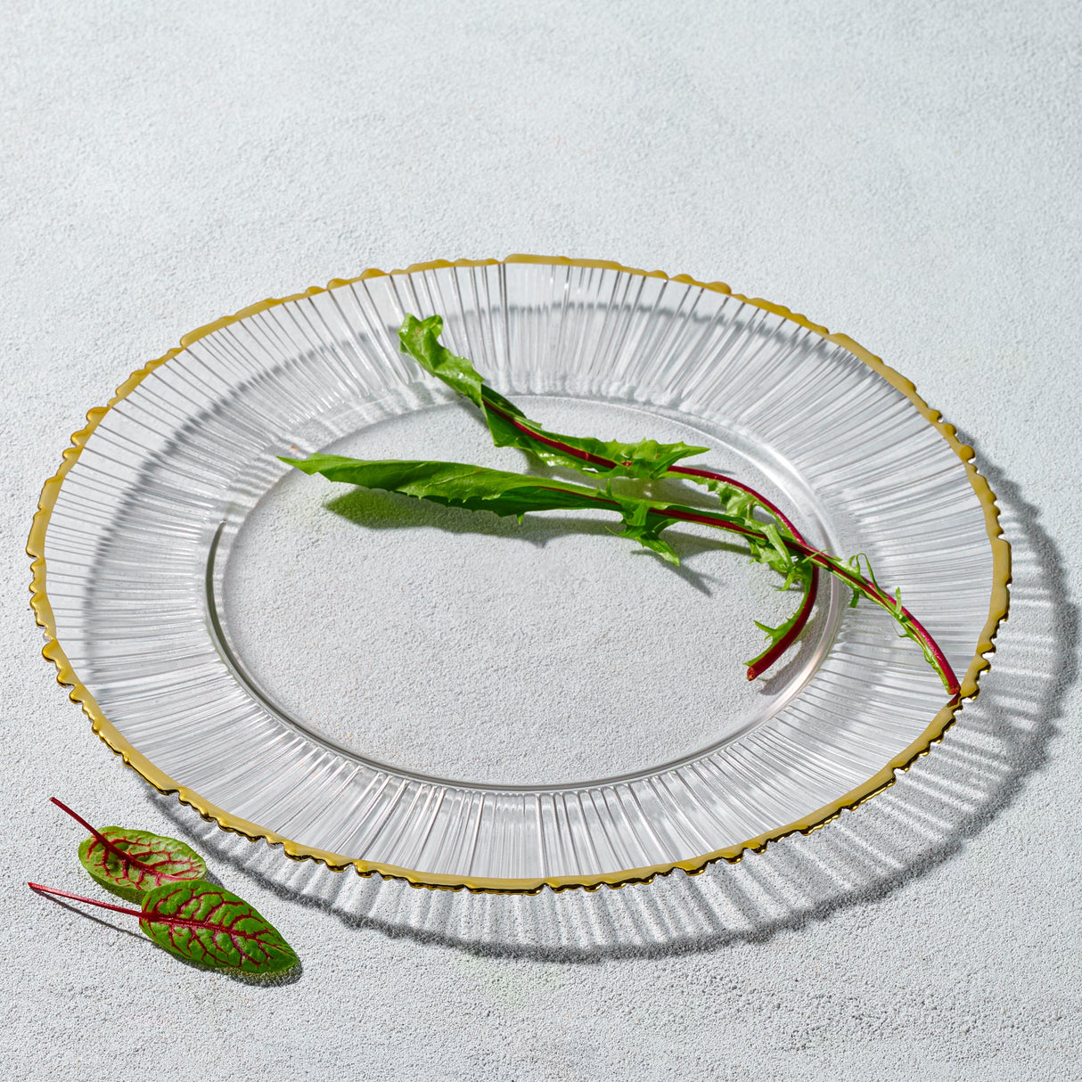Harmony, Glass Charger with Colored Rim- Set of 4
