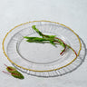 Harmony, Glass Charger with Colored Rim- Set of 4