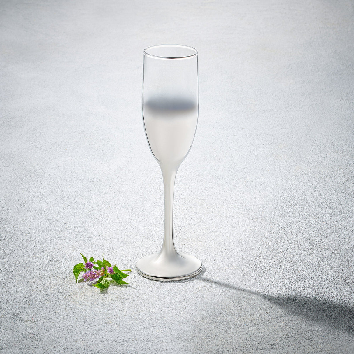 Lawrence, Champagne Flute Glass, 7 oz-Set of 6
