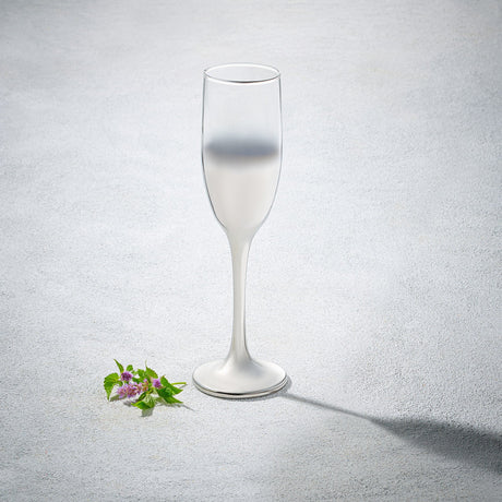 Lawrence, Champagne Flute Glass, 7 oz-Set of 6