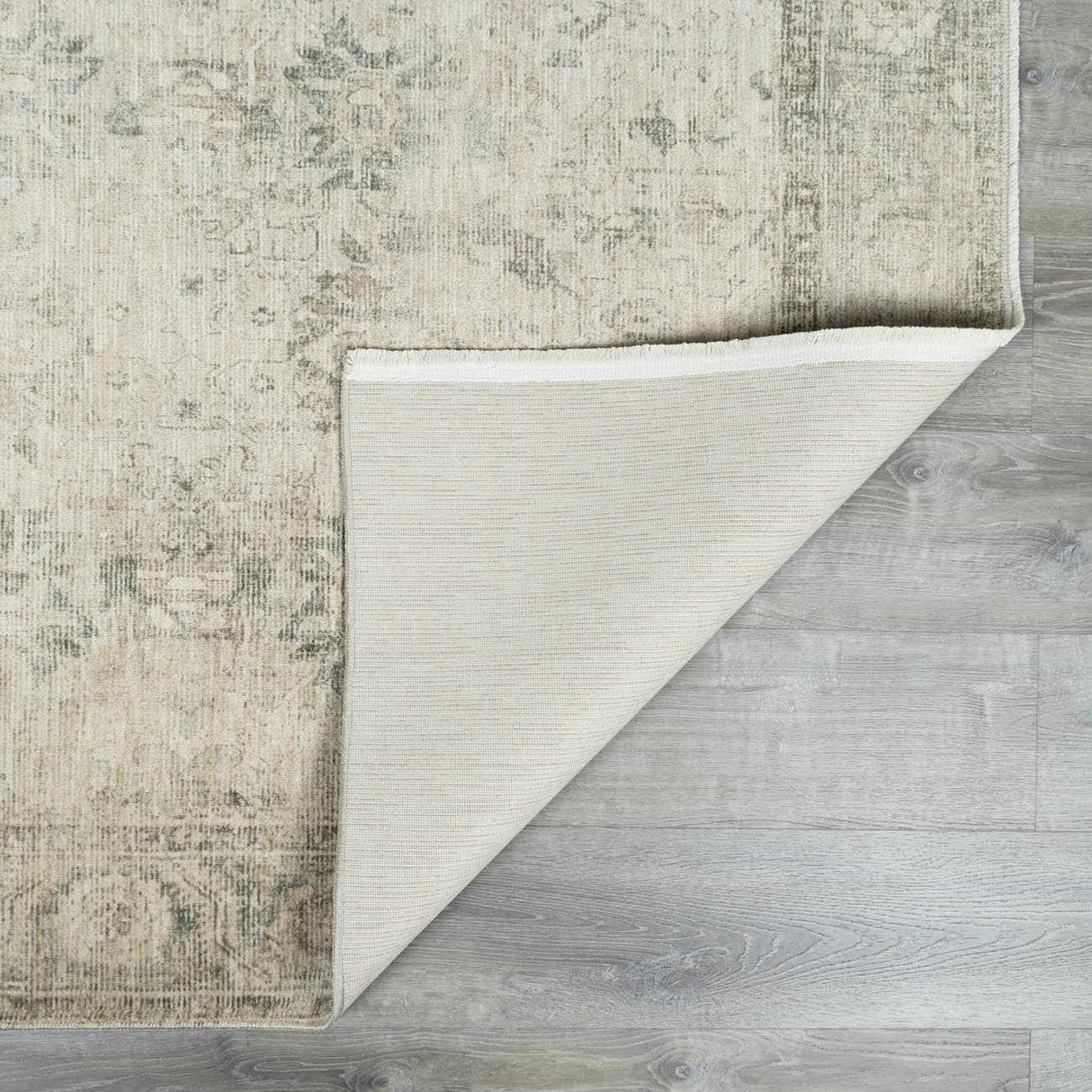 Fetscher II Vintage Medallion Area Rug