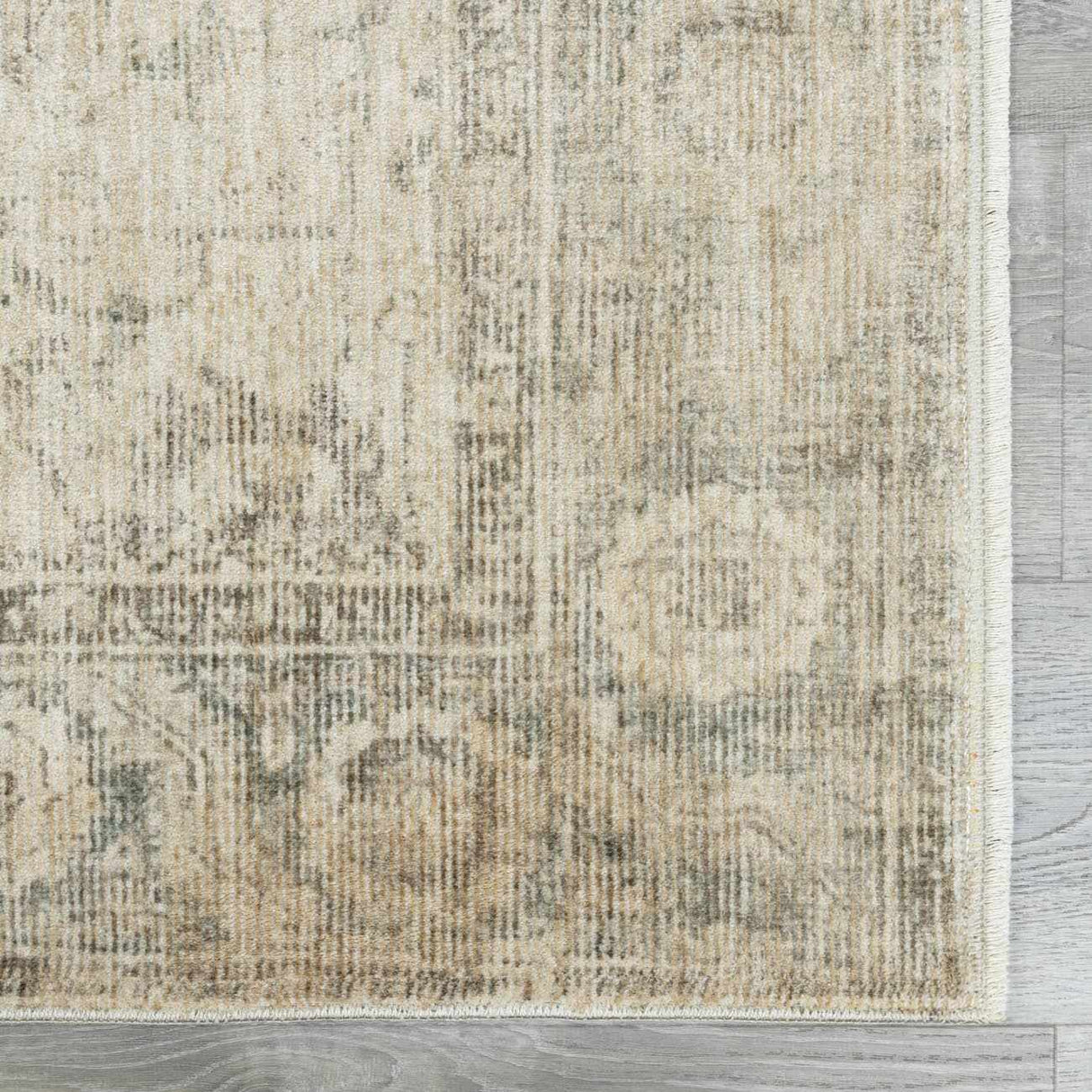 Fetscher II Vintage Medallion Area Rug