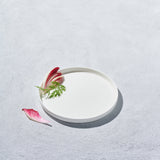 Aidan, Stackable Bone China, Round Plate-Set of 4