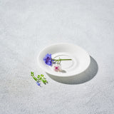 Lightning, Round Saucer with Inner Rim-Set of 4