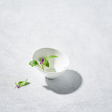 Lightning, Slanted Bowl