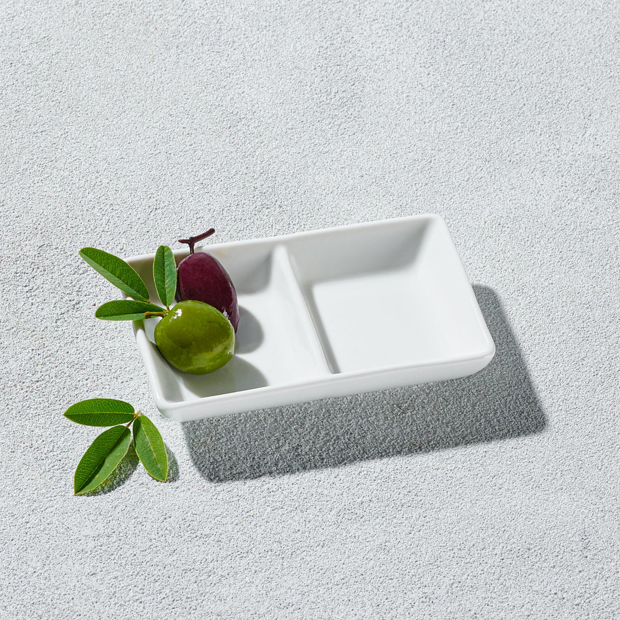 Lightning, 2 Sectional Rectangle Dish-Set of 4