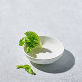 Lightning, Shallow Bowl