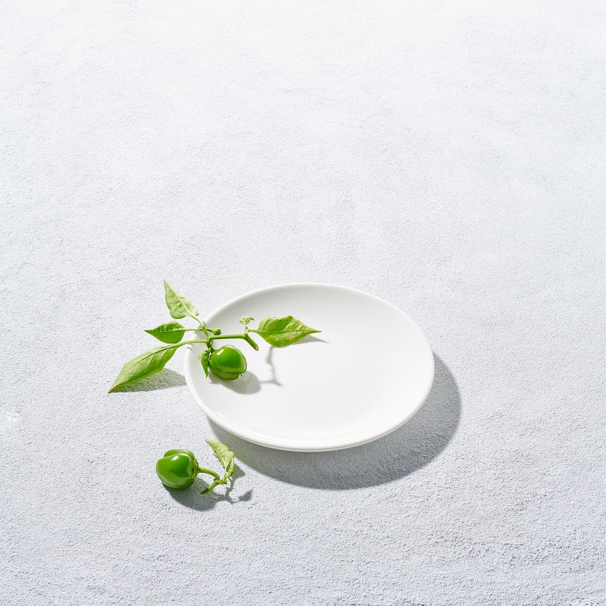 Lightning, Coupe Round Plate-Set of 4