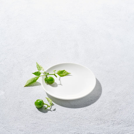 Lightning, Coupe Round Plate-Set of 4