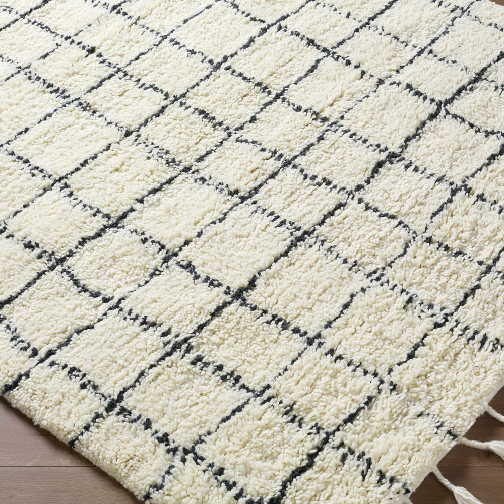 Venya Area Rug - Clearance