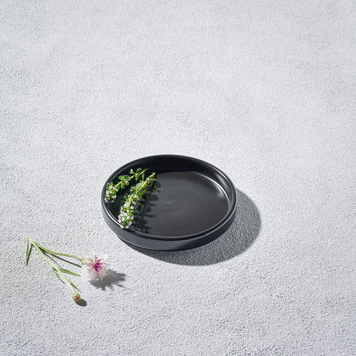 Bolt, Round Matte Modern Plate-Set of 4