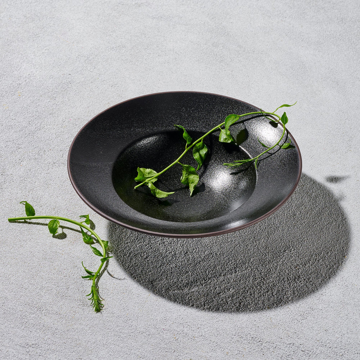 Sonic, Soup Bowl with Rim-Set of 4
