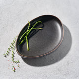 Sonic, Rounded Triangle Plate-Set of 4