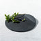 Thunder, Round Plate with Lifted Edge-Set of 4
