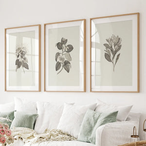 Antique Floral Prints 3 Piece Wall Art Decor