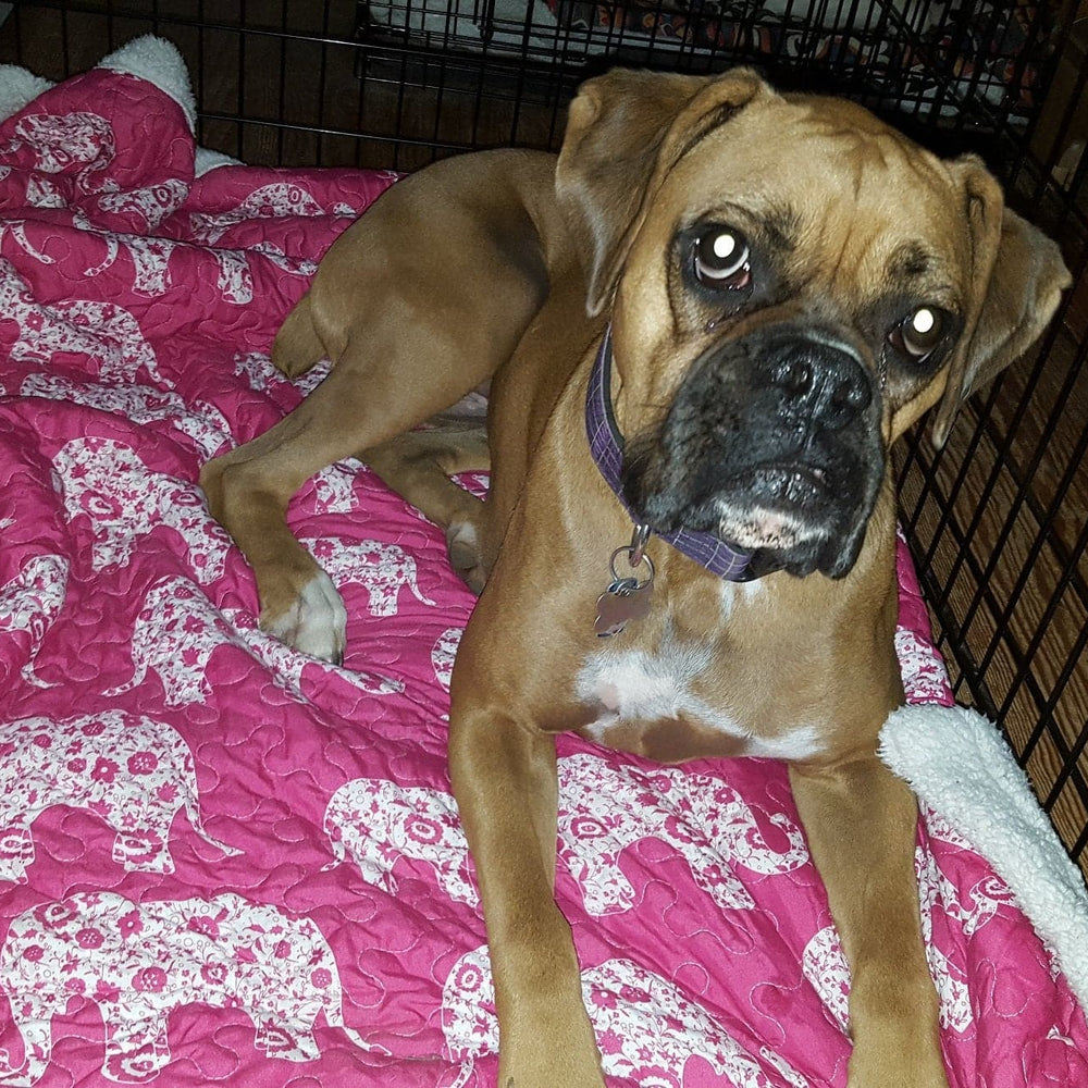 Elephant Parade Sherpa Throw