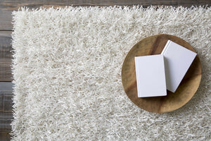 Browder Solid Beige Shag Area Rug - Clearance