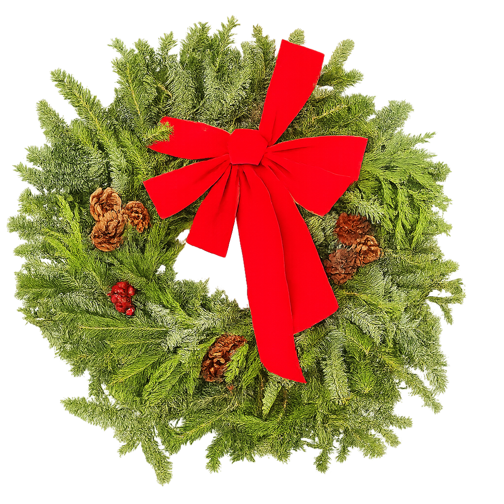 22" Decorated Evergreen Wreath | Fresh Fraser, Noble & Cedar Holiday Wreath | House Plant Shop