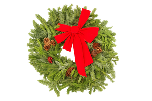 22" Decorated Evergreen Wreath | Fresh Fraser, Noble & Cedar Holiday Wreath | House Plant Shop