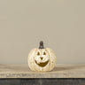 NEW 5.5" BIG MOUTH PUMPKINS