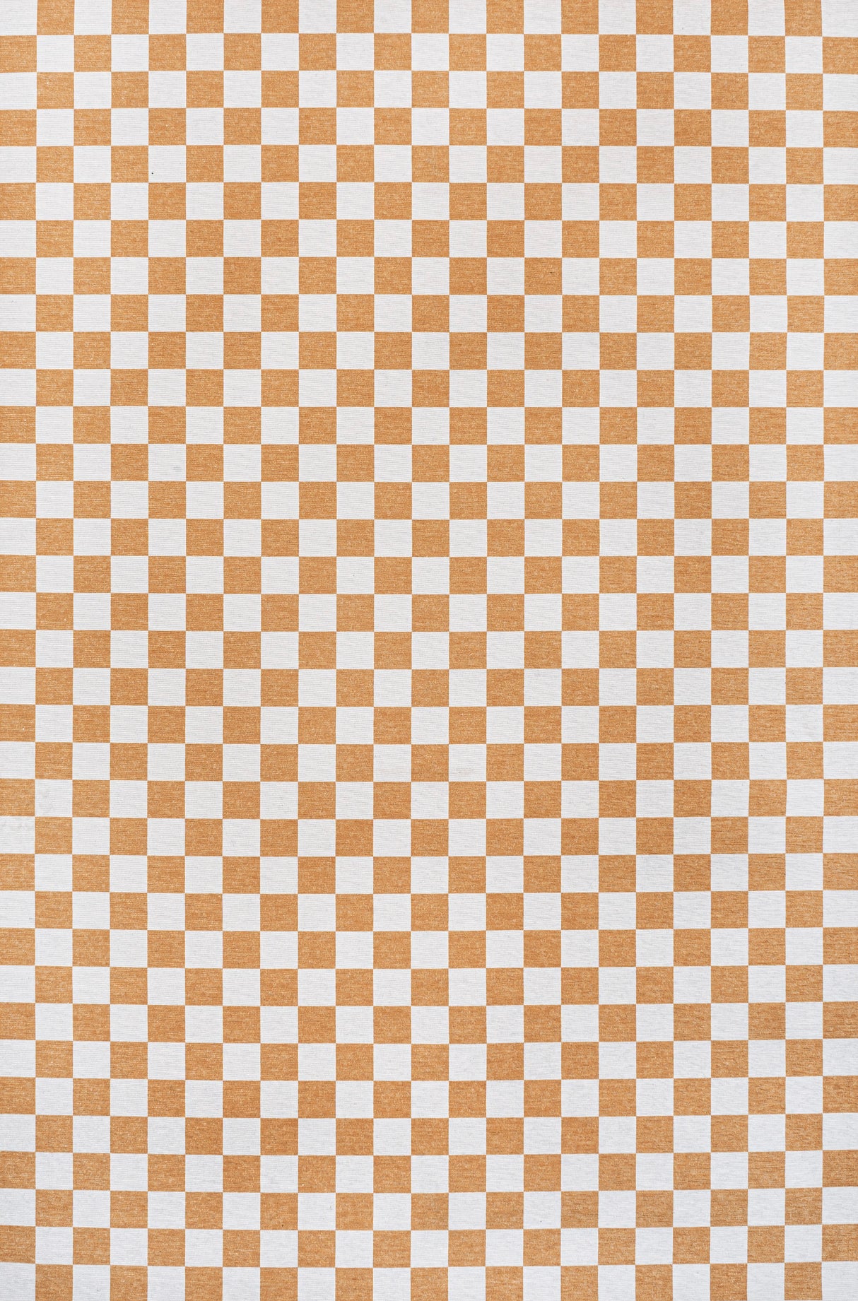 Ainsley Modern Cottage Checkerboard Washable Area Rug