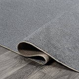 Twyla Classic Solid Low-Pile Machine-Washable Area Rug