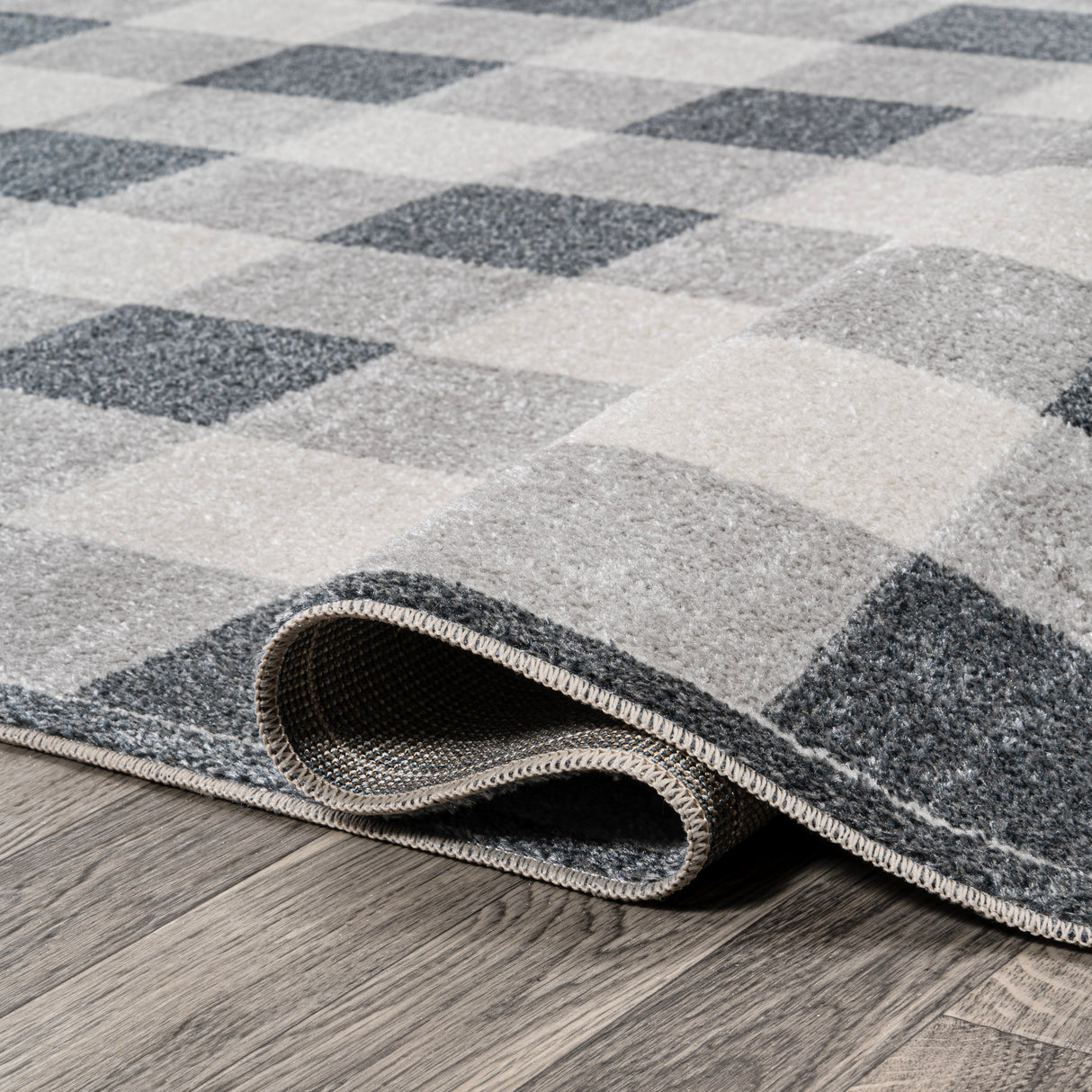 Gingham Gradient Plaid Cottage Machine-Washable Area Rug Area Rug