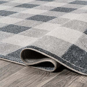 Gingham Gradient Plaid Cottage Machine-Washable Area Rug Area Rug